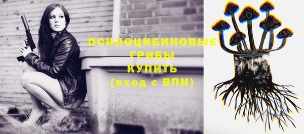 ПСИЛОЦИБИНОВЫЕ ГРИБЫ Бронницы