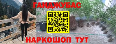 PSILOCYBIN Кинель