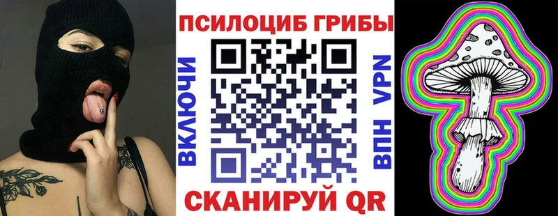 где можно купить   Медногорск  Галлюциногенные грибы MAGIC MUSHROOMS 