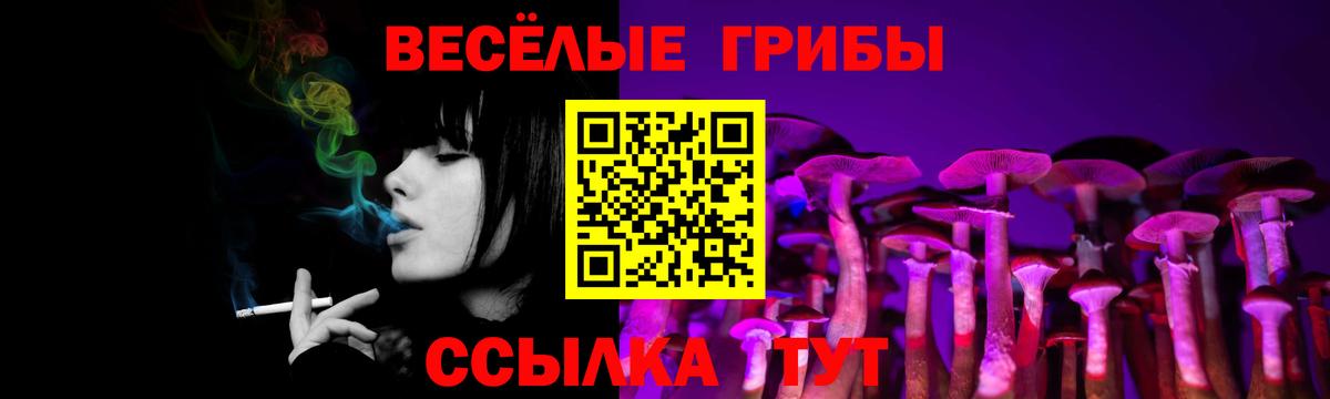 Псилоцибиновые грибы мухоморы  Вход с VPN  цены   Медногорск 